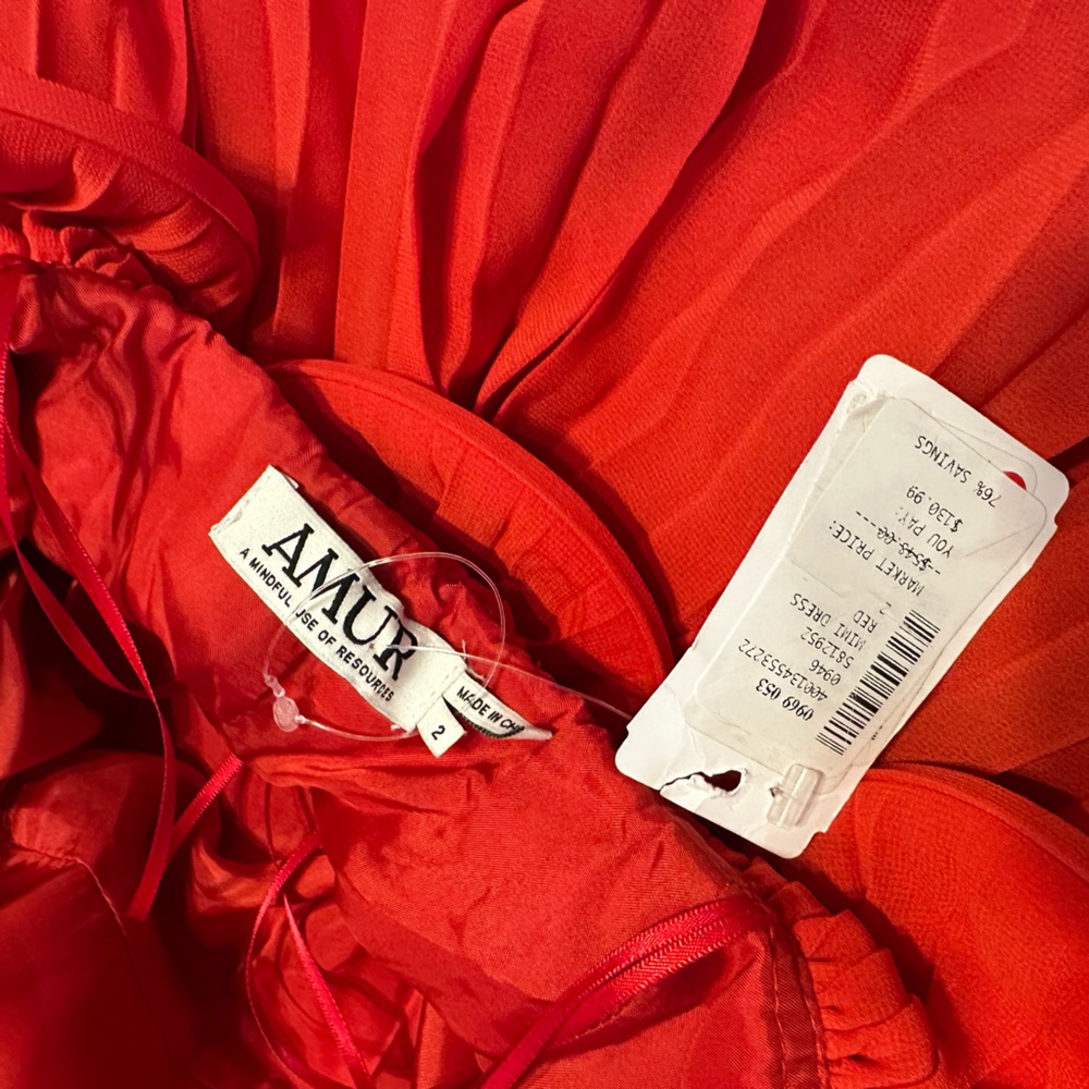 AMUR Mimi Ruffled Pleated Mini Dress - Picture 6 of 9